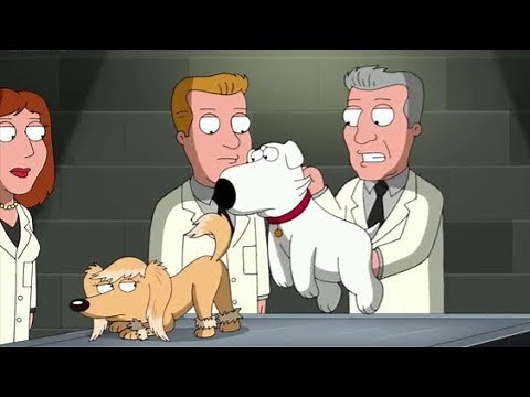 Brian Forced Mating | Family Guy