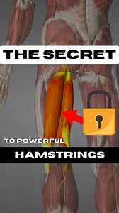 Did you know your hamstrings are responsible for generating explosive power? 🤔 They help you sprint faster, jump higher, and make those powerful kicks. But most of us neglect them in favor of more traditional exercises like squats and deadlifts. Not anymore. 🦵 In this reel, I’m showing you a killer exercise that activates your hamstrings for quick, explosive movements while adding an instability element with resistance bands. The instability forces your body to recruit even more muscles, impro