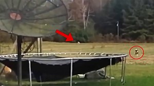 50K views · 815 reactions | Today on Dylan Is Chillin: Delve into the Most Frightening Videos Ever Filmed. You might know me as the Top15s narrator, the Chills YouTuber, Dylan or just the guy with a monotone voice. My top creepy countdown videos always give an in-depth analysis of scary internet videos that are strange, bizarre, mysterious, and sometimes unexplainable in hopes of determining if said scary videos are real or fake. | Dylan Is Chillin | Facebook