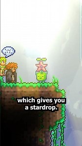 Almost Every HIDDEN Easter Egg in Terraria!
