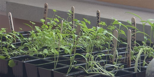 Houghton-Portage Elementary School receives ‘Evergreen’ state certification