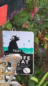 Preble Jumping Mouse Wildlife Sanctuary