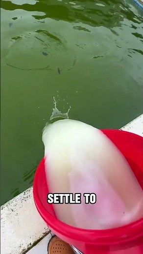 Pool Cleaning HACKS You Need!