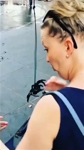 spider 🕷️ prank #funny #prank