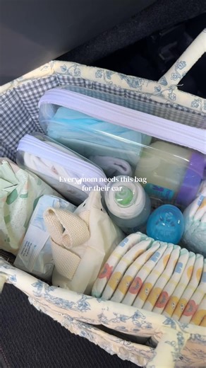 A must have bag for the mommas!!! 🩵🍼☁️ #carorganization #quiltedbag #carstorage #carhack #musthaves