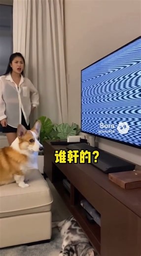 Cat and Dog Watching TV 😹 The Funniest Movie Night Ever