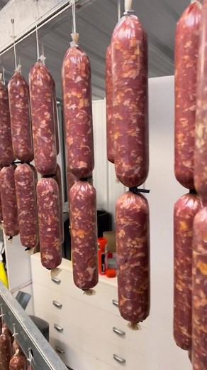 Jarrod_castles on TikTok