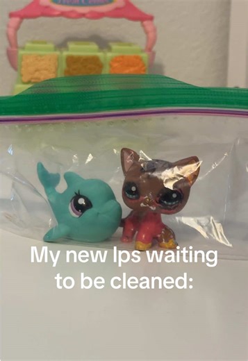 Restoring My Dream Littlest Pet Shop #1170