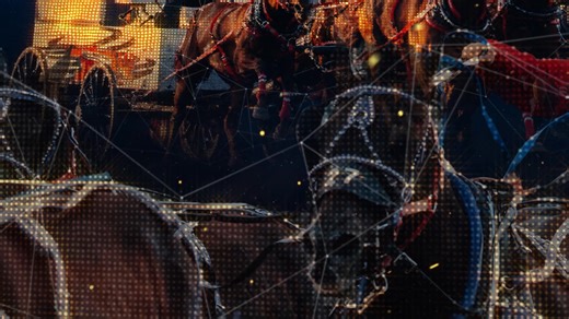 Calgary, it's your turn to come alive! Feel the thunder of the Rangeland Derby Chuckwagon Races presented by Play Alberta, the thrill of the Relay Races and the magic of the Grandstand Show presented by Freedom Mobile featuring a fireworks finale - all with one ticket! Get your tickets calgarystampede.com/eveningshow-tickets | Calgary Stampede