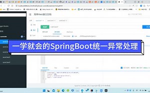30-一学就会的SpringBoot统一异常处理