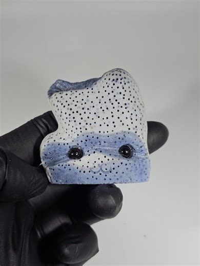 Blue Ridge Fossilized Coral Pet Rock Carving - Etsy