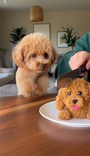 When the cake looks like YOU 😱