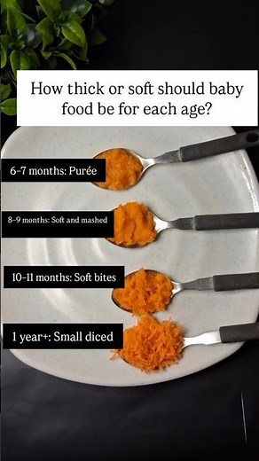 Baby Food Consistency by Age 👶 | Must-Know Feeding Guide!