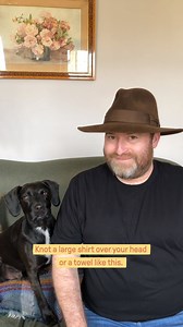 377K views · 718 reactions | Are you one of the lucky few to have brought home a puppy recently? You might be worried about socialisation but the lovely Oli Juste Dog Trainer shows us why you don't have to be. We have a feeling you're going to have a lot of fun following his advice.  | Butternut Box | Facebook