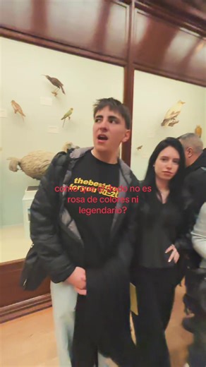 Dodos en Adopt Me: Valor y Trades