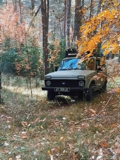 Promenade en forêt avec Lada Niva