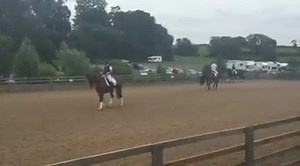Watch two of our Rio-bound combinations warming up for the CDI grand prix at Hartpury Festival Of Dressage | Horse & Hound: Dressage