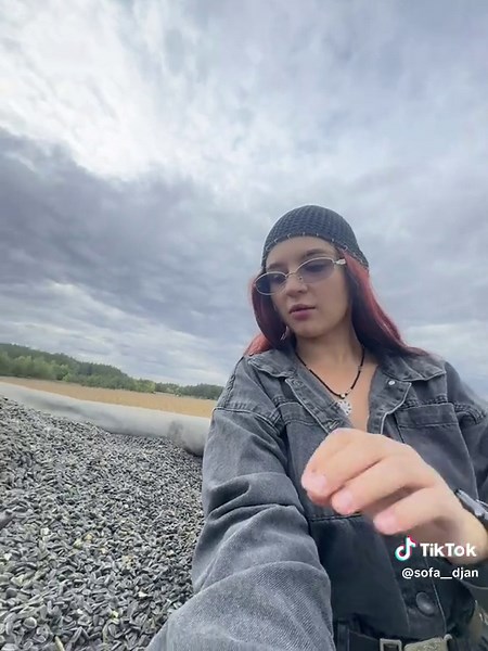 Жнива 2025: Урожай соняшника з Case 2188