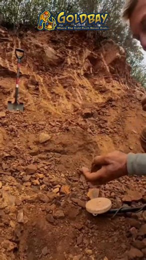 Tiny finds, big excitement! Every signal counts when you’re out metal detecting — you never know what’s hiding just below the surface. ⛏️ #MetalDetecting #GoldFind #ProspectingLife #GoldHunter #TreasureHunting #GoldRush #GoldProspector #GoldInTheGround #GoldBay | Goldbay Private Reserve