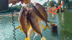 57K views · 1.4K reactions | Manghuli ng TALAKITOK sa ilalim nang...