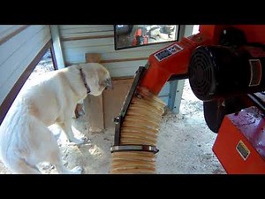 The perfect Dust Collection Setup for my Woodmizer Sawmill.