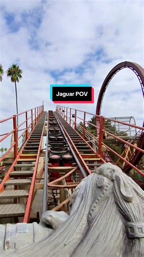 Experience the Jaguar Roller Coaster at Knott's Berry Farm