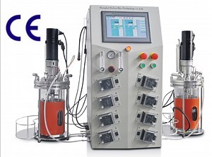 [Hot Item] 2 Liter Glass Lab Fermenters for Culture of Microbial, Yeast and Fungi