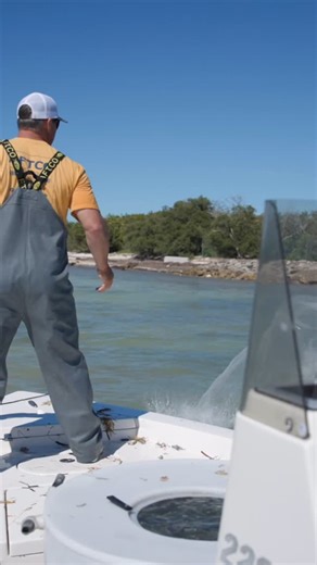 173 reactions | We place a lot of importance on Live Bait! : Local Knowledge S10:E1 Battling Sharks to Catch Tuna!” Available on YouTube, Waypoint TV & Streaming apps #SaltwaterFishing #TunaFishing #KeyWestFishing | Local Knowledge | Facebook