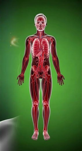 Why You Feel Dizzy When Standing Up? Brain Blood Drop & Vision Blackout Explained