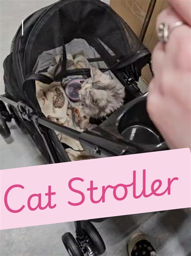 I’ve officially accepted my role as Kizzy’s full-time chauffeur. 🚕💨 If I’m going, she’s going—attachment vibes are at an all-time high! 📈 This stroller is the ONLY reason I can actually get my shopping done without a meltdown. It’s smooth, sturdy, and Kizzy-approved. Everything is linked in the TikTok Shop basket below! 🛒✨ The Ultimate Pet Stroller: Perfect for clingy fur babies who need to see you 24/7. 🎡 #cat #catstroller #petstroller #emotionalsupportcat #kizzycatography