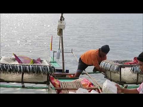Long Line Fishing on Bantayan Island in the Philippines