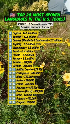 🇺🇸 The United States speaks many languages! 🗣️ Here are the Top 20 Most Spoken Languages in 2025 — a true reflection of America’s diversity. #Languages #USA #Diversity #Culture #Multilingual #Facts | Mommy Jen