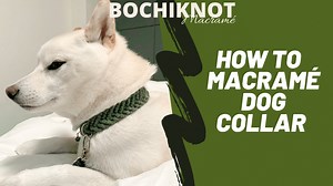 Watch How to Macrame a Dog Collar Using Single Strand Cotton Cord on Amazon Live