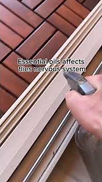 DIY Fly Spray That Actually Works! #shorts