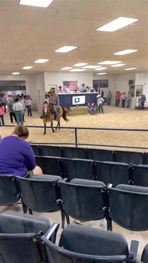 189K views · 1K reactions | Hip #224 SOLD! $9,500 | Ocala Horse Sale | Facebook