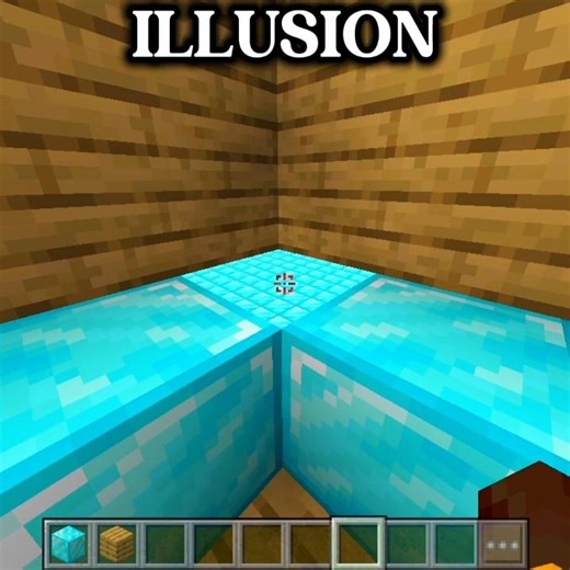 Illusion in Minecraft #minecraft #shortsfeed #filtro