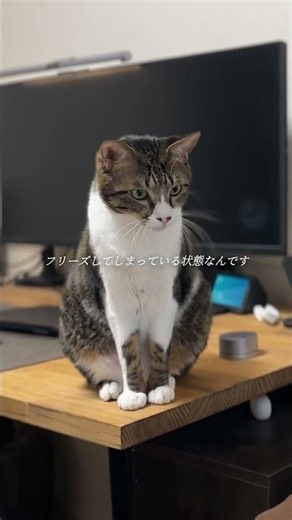 【選択の先送り（決断疲れ）】「自分で決める」のが怖い！優柔不断を克服するルール作り