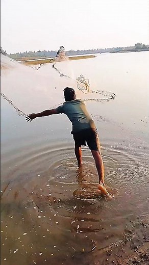 net fishing🐬#bassfishing #fishinglife #fish #fishing #villagelife #shortsfeed #viral