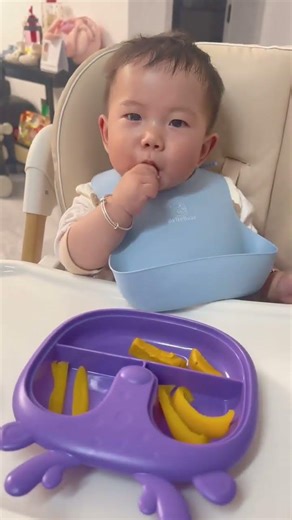 Real-Life Complementary Food Diary: Baby's Transition to Solids