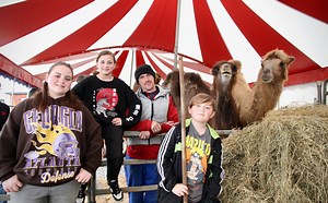 Mit tierischer Fotogalerie: Manege frei für den Circus Frankello