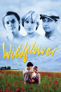 Stream Wildflower (1991): Find it on Netflix, Prime Video, Hulu & more