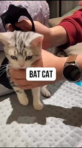 142K views · 879 reactions |  | Crush Zone | Facebook