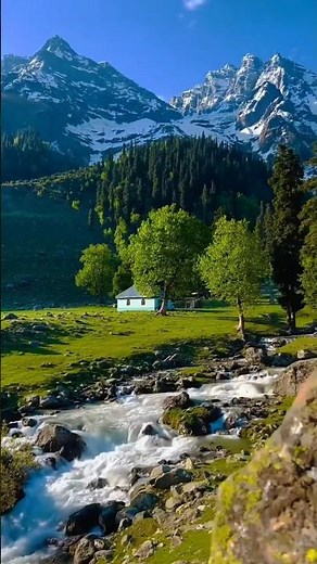 Beautiful Relaxing Music Stop Overthinking Calm and Stress Relief Music