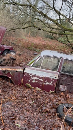 ABANDONED CLASSIC FORD #automobile #abandoned #classiccars #ford #vintage #viral #viralvideo #reels