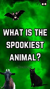 2.5K views · 23 reactions | Cast your vote in the comments!! #Vampirefreaks #Alternative #Goth #Spooky #Emo #VampireFreaks #Halloween #Gothic | VampireFreaks | Facebook