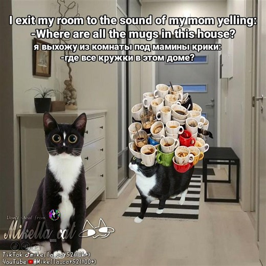 I exit my room to the sound of my mom yelling: #cat #animation #mikella