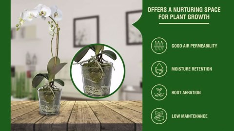 5 Oz (4 Quart) Forest Moss for Indoor Plants, Dried Moss for Potted Plants Terrariums, Forest Orchid Moss for Potting Mix, Reptile Bedding, Turtle, Snake Bedding, DIY Projects, Craft Decor