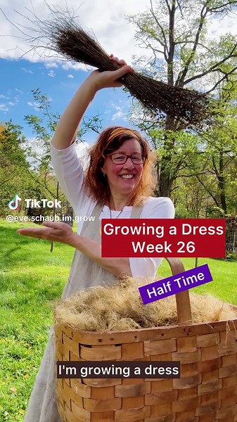 Growing a Dress: Week 26 of Mini Dress Styling