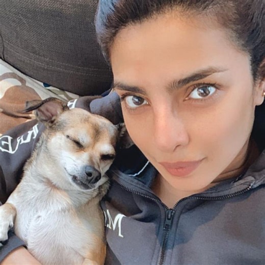 Say hello to your favourite Bollywood celebrities’ furry friends