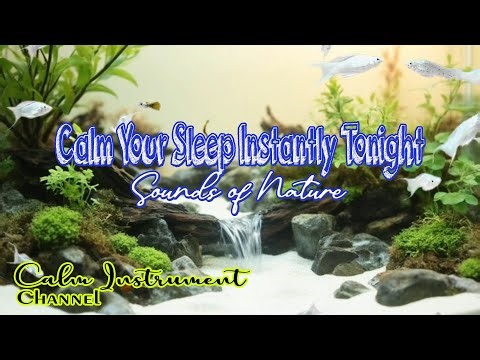 Beautiful Relaxation Instrumental So Captivating It Will Calm You Instantly Tonight